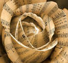 Cuarteto Andantino