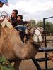 Cumpleaños Con Camellos.